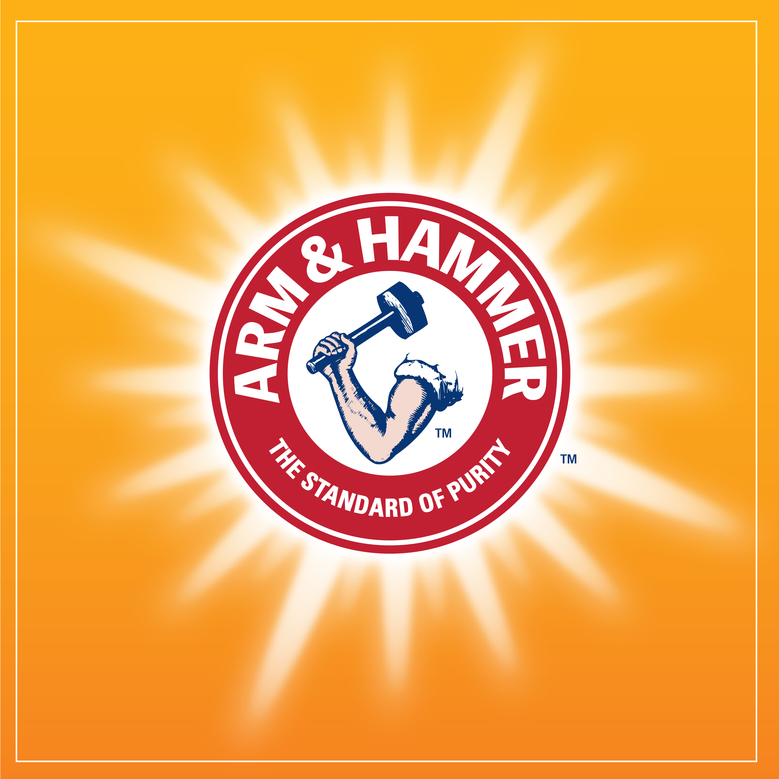 Arm & Hammer logo